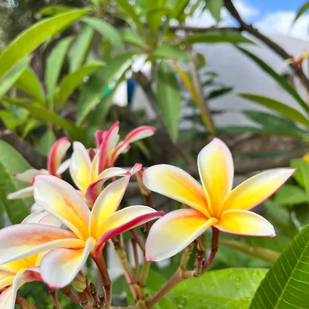 Casa di campagna Giardino Di Sicilia