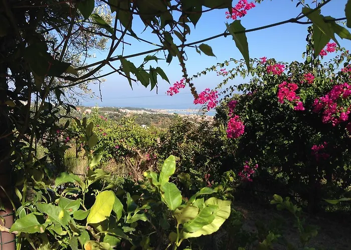 Giardino Di Sicilia Landsted *
