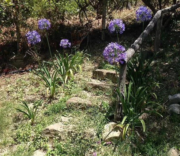 Landsted Giardino Di Sicilia Sant'Agata di Militello